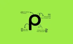 Parolapara Nedir, Güvenilir mi? Elektronik Para Kuruluşu Hakkında Bilinmesi Gerekenler