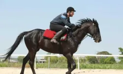 Unutulmaz Safkan Bold Pilot Kimdir? Yarış Geçmişi Hakkında Merak Edilenler
