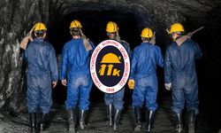 TTK 262 İşçi Alımı Yedek Listesi: Türkiye Taşkömürü Kurumu Kura Sonucu Öğrenme Ekranı ve İsim Sorgulama
