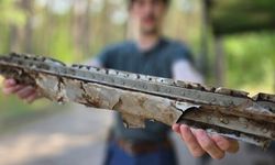 Polonya'da yaban mersini toplarken uçak enkazı buldu