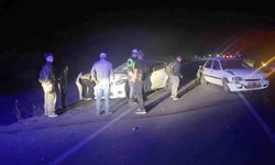 Kütahya’da Koyun Sürüsü Kazaya Neden Oldu: 3 Yaralı, 6 Hayvan Telef