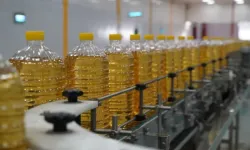 Ticaret Bakanlığı Duyurdu: Ayçiçeği Tohumu İthalatında Tarife Kontenjanı Başladı