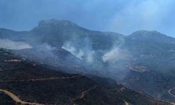 Alanya Orman Yangınında Mücadele İkinci Gününde Sürüyor