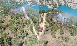 Alevler ormanı sardı! Kahramanmaraş'ta ekipler teyakkuza geçti