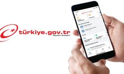 Kahramanmaraşlılar İçin e-Devlet Hesap Sorgulama Dönemi