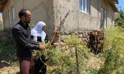 Uçurumdan Düşen İneğin Yerine 12 Büyükbaş Hayvan Verildi