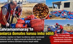 Kahramanmaraş'ta Sahte Gıda Operasyonu: Tonlarca Ürün İmha Edildi