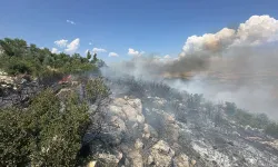 Kahramanmaraş Orman Bölge Müdürlüğü Duyurdu: Gaziantep'teki Yangın Kontrol Altında