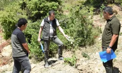 Kahramanmaraş'ta Gelir Getiren Ağaçlandırma Çalışmaları Hız Kazandı