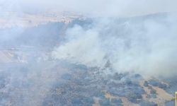 Kahramanmaraş'ta orman alevlere teslim oldu! Yangın kontrol altına alındı