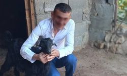 Komşusunun evine girip dehşet saçmıştı: 85 yaşlı kadına gasp davasında 15 yıl hapis istemi