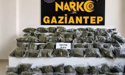 Gaziantep Merkezli Narkotik Operasyonunda 382 Kişi Yakalandı