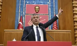 Son Seçim Anketi 2026: Yeni Parti Oy Oranı Kaç, Güncel Seçim Sonuçları Ne?