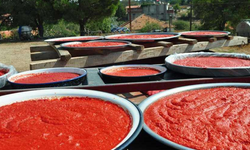Kahramanmaraş Usulü Biber Salçası Tarifi ve Yapılışı