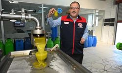Kayseri’de Üretici Kadınların Aspir Başarısı: 10 Yılda Ekonomiye Dönüştürdüler
