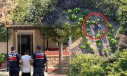 Kahramanmaraş dahil 28 ilde uyuşturucu operasyonu! 69 şüpheli tutuklandı