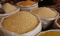 Üreticiler Bu Rakamları Bekliyordu! Kahramanmaraş'ta Buğday, Arpa ve Mercimek Fiyatları Belli Oldu