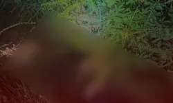 Kahramanmaraş'ta Acı Haber: Suya Düşen Şahıs Hayatını Kaybetti