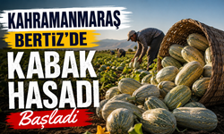 Kahramanmaraş Bertiz'de Kabak Hasadı Başladı