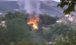 Kahramanmaraş Pınarbaşı’nda Yangın Alarmı: Ormanlık Alandaki Alevler Söndürüldü