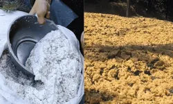 Kahramanmaraş’ta geleneksel tarhana hazırlığı başladı