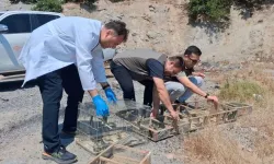 Kahramanmaraş'ta Kaçak Avcılara 2 Milyon Lirayı Aşan Ceza