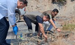 Kahramanmaraş'ta saka kuşu avcılarına milyonlarca lira ceza