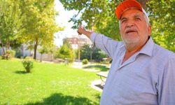 Kahramanmaraş’ta kargalar parkı mesken tuttu