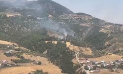 Kahramanmaraş'ta ormanlık alanda yangın çıktı, ekipler hızla müdahale etti