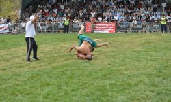 Kahramanmaraş'ta Ata Sporu Coşkusu: Pehlivanlar Kertmen'de