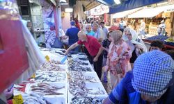Samsun’da Palamut Fiyatları İki Günde Yarı Yarıya Düştü