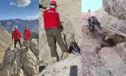 Kahramanmaraş’ta Kayalıkta Mahsur Kalan Keçiler Kurtarıldı