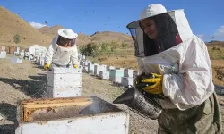 Selçuklu Arıcılık Desteği Başvuruları Ne Zaman Başlıyor?