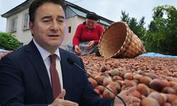 Ali Babacan Sakarya'da fındık üreticilerini dinledi