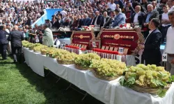 Bertiz Boyalı Güreş Festivali 30. kez düzenlenecek