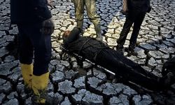 Kahramanmaraş’ta bataklığa saplandı, halatla kurtarıldı