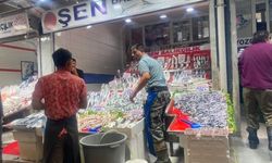 Ankara Ulus Hali’nde Balık Sezonu Açıldı: Güncel Fiyatlar