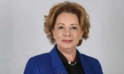 Ayçin Evgeç Dalgıç Kimdir, Neden Öldü? İşte Hayatı