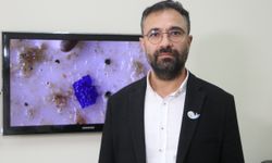 Sigara Tütünlerinde Korkutan Mikroplastik Tehlikesi!