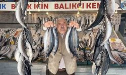 Palamut Fiyatı 100 TL'ye Düşerek Tezgahta Rekor Kırdı