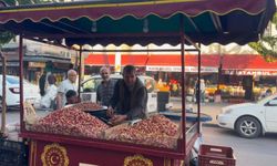 Şanlıurfa Fıstığına TEKNOFEST Bereket Dopingi