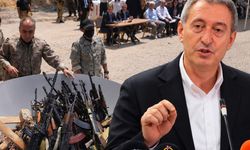 Tuncer Bakırhan'dan PKK'nın silah bırakma tarihi