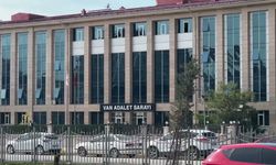 Rojin Kabaiş Soruşturması: Avukatlara İnceleme Başlatıldı