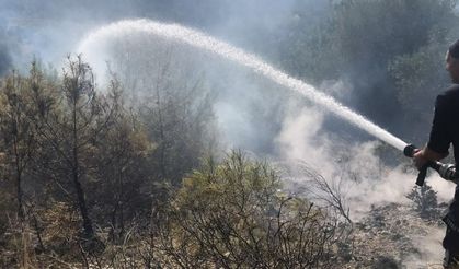 Manavgat'ta kırsal alan yangını