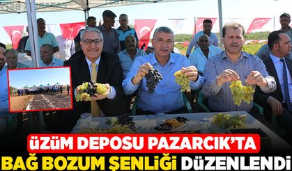 Üzüm deposu Pazarcık’ta bağ bozum şenliği düzenlendi.