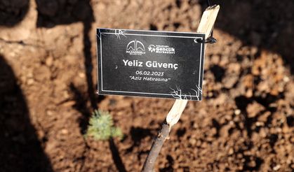 Dulkadiroğlu Belediyesi, deprem şehitleri anısına ağaç dikme etkinliği düzenledi