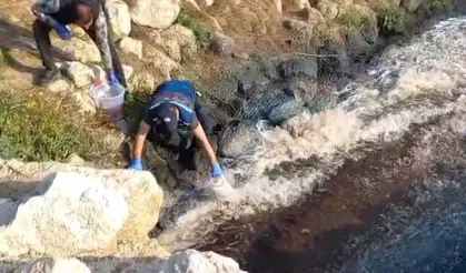 Ceyhan Nehri’ndeki kirlilik ve balık ölümleri üzerine geniş çaplı inceleme başlatıldı