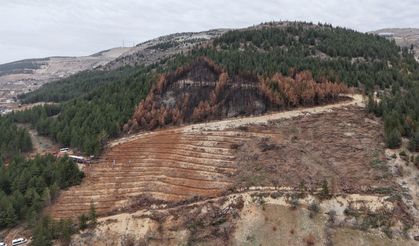 Kahramanmaraş'ta fidanlar toprakla buluştu