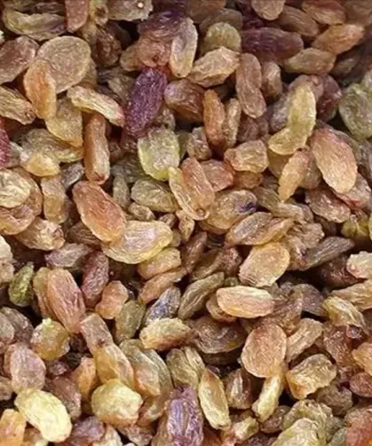 Kuru üzüm alım fiyatı belli oldu: TMO açıkladı!