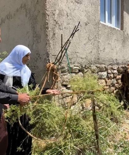 Uçurumdan Düşen İneğin Yerine 12 Büyükbaş Hayvan Verildi